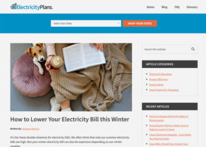 How to Lower Your Electricity Bill this Winter (electricityplans.com)