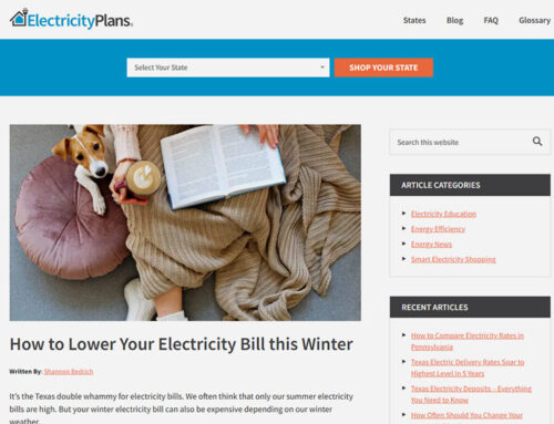 How to Lower Your Electricity Bill this Winter (electricityplans.com)